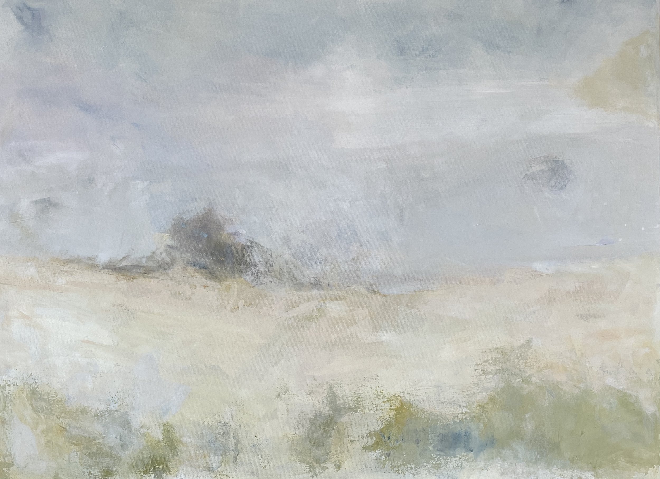 Distant Horizons
