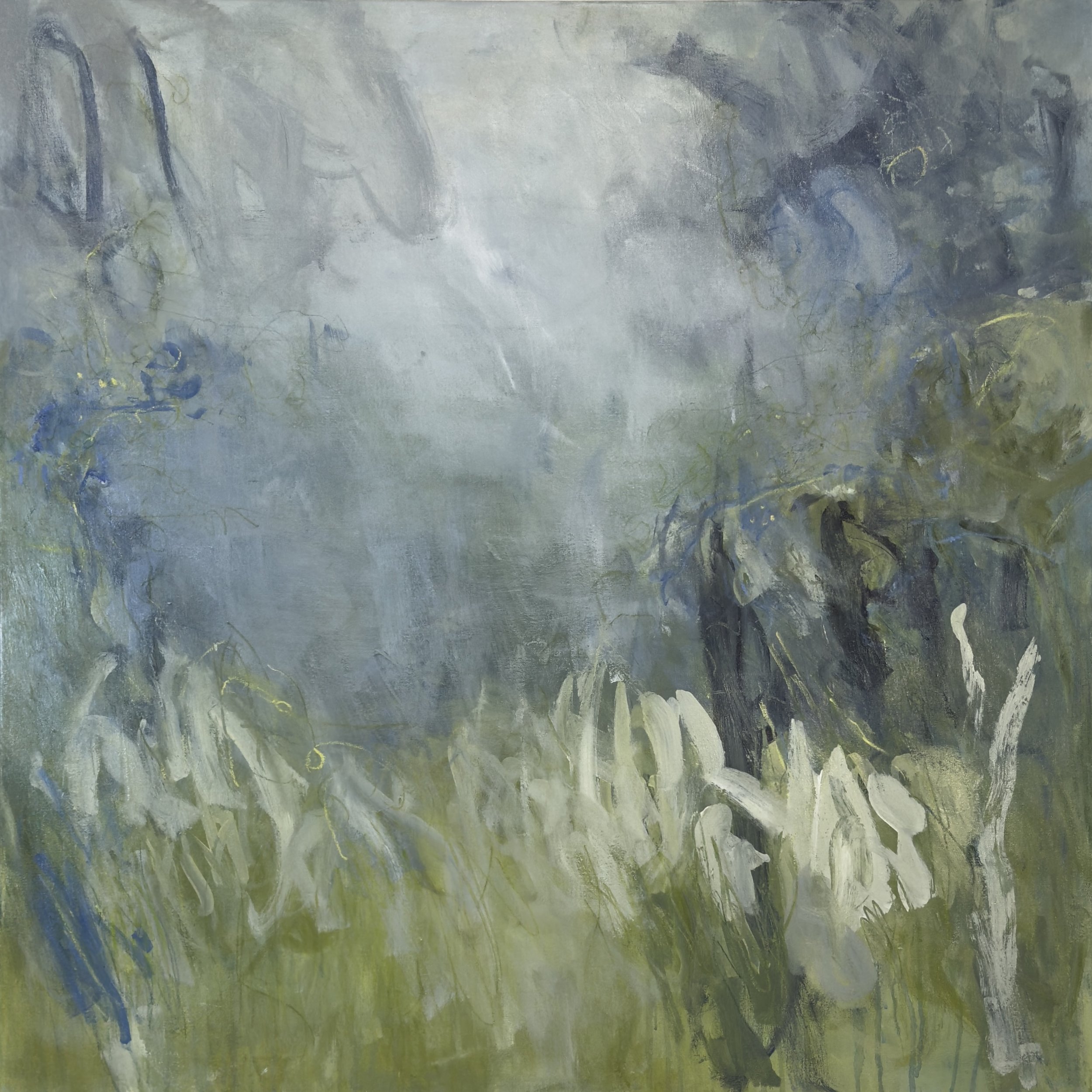 Murmurs Of The Trees